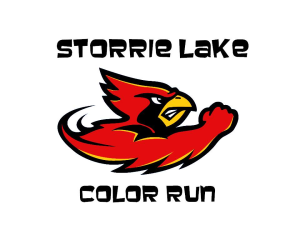Storrie Lake Color Run home