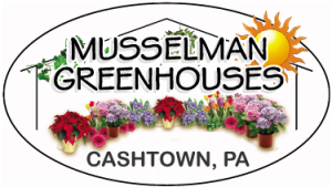 Sponsor Logo for Musselman Wholesale Foliage, Inc.