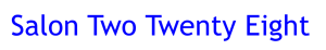 Sponsor Logo for Salon Two Twenty Eight