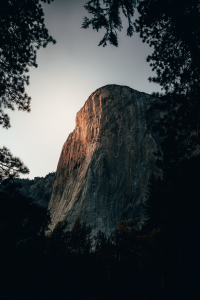 Sponsor Logo for TicketSignup