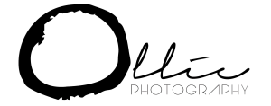 Sponsor Logo for Ollie Photography, Inc.