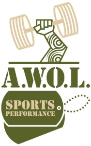 Sponsor Logo for AWOL Performance