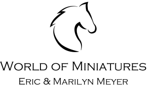 Sponsor Logo for World of Miniatures