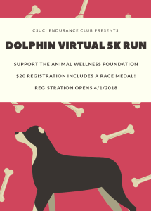 Dolphin Virtual 5k 2018 home