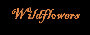 Sponsor Logo for Wildflowers