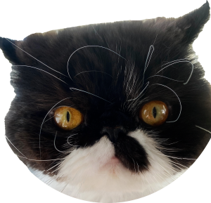 Sponsor Logo for Cyrus Meow Great