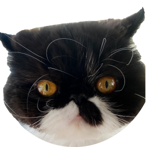 Sponsor Logo for Cyrus Meow Great