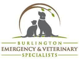 Sponsor Logo for Burlington Emergency & Veterinary Specialists