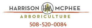 Sponsor Logo for Harrison McPhee