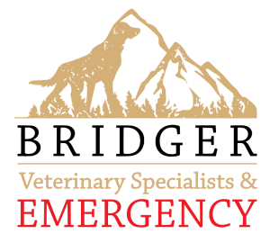 Sponsor Logo for Bridger Veterinary Specialist & EMERGENCY