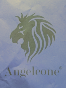 Sponsor Logo for Angeleone