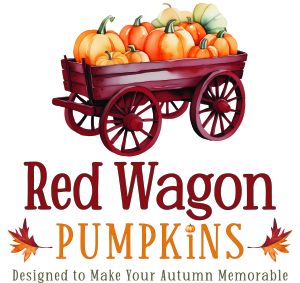 Ivoryton Pumpkin Chase, photo 8 of 8
