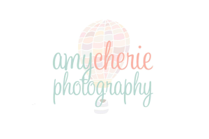 Sponsor Logo for AmyCherie Photography