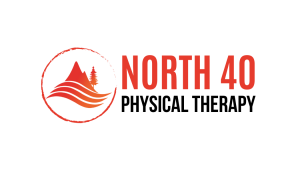 Sponsor Logo for North 40 Physical Therapy