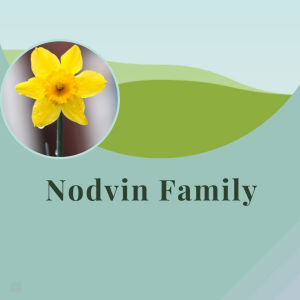 Our sponsor Logo for NODVIN FAMILY