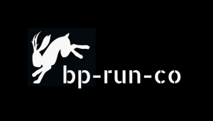 Sponsor Logo for BP Run Co