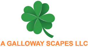 Sponsor Logo for A Galloway Scapes