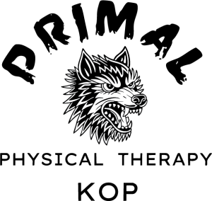 Sponsor Logo for Primal Physical Therapy KOP