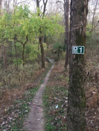 JRWS Winter Trail Series: Capitol View Park home