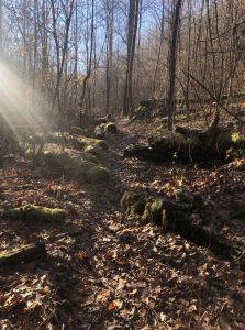 JRWS Winter Trail Series: Sheltowee Trace (Northern Morehead) home