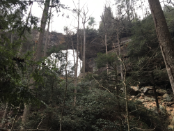 JRWS Winter Trail Series: Red River Gorge (Gray's Arch) home