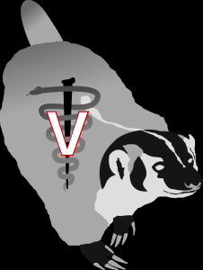 Canine Campus Crawl 2019 home