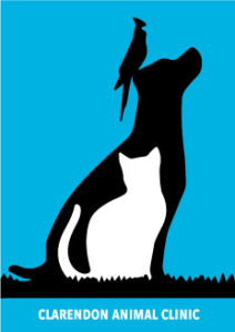 Sponsor Logo for Clarendon Animal Clinic