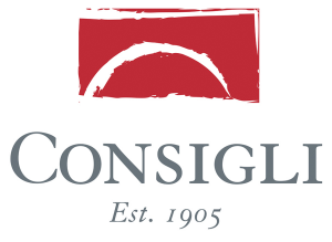 Sponsor Logo for Consigli Construction Co.
