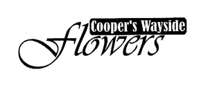 Sponsor Logo for Coopers
