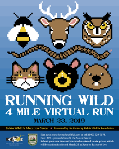 Running Wild Virtual Run home