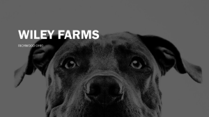 Sponsor Logo for Wiley Farms
