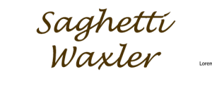 Sponsor Logo for Spaghetti Waxler