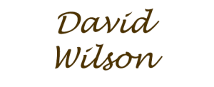 Sponsor Logo for David Wilson