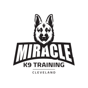 Logo for Miracle K-9 Training
