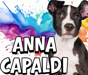 Logo for Anna Capaldi
