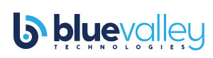 Sponsor Logo for Blue Valley Technologies