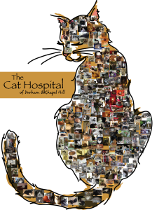 Sponsor Logo for The Cat Hospital of Durham & Chapel Hill
