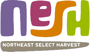 Logo for NESH