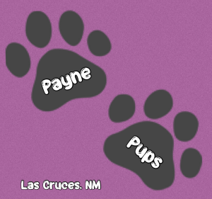 Sponsor Logo for Payne Pups