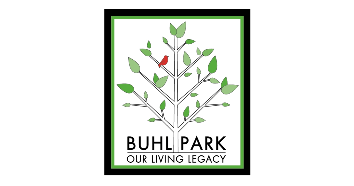 Buhl Park Pump Track Championships Buhl Park