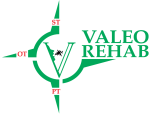 Sponsor Logo for VALEO REHAB
