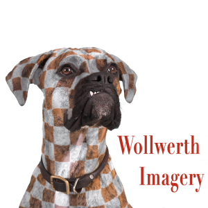 Sponsor Logo for Woolworth Imagery