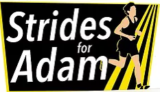 Strides for Adam