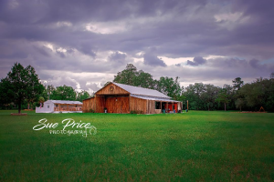 Sponsor Logo for Coventry Oaks Farm and Event Barn