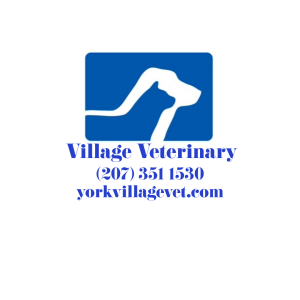 Sponsor Logo for Village Veterinary