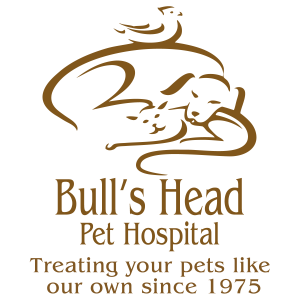 Sponsor Logo for Bull's Head Pet Hospital