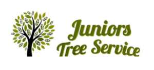 Logo for Juniors Tree Service