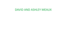 Sponsor Logo for DAVID AND ASHLEY MEAUX