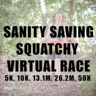 Virtual Amazing Race