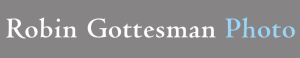 Our Sponsor Logo for Robin Gottesman Photo